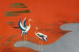 Oiseaux au coucher du soleil sur le lac