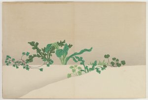 Fleurs de cent mondes : Sept herbes du début du printemps