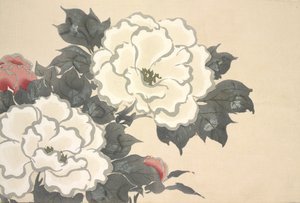 Fukami-Gusa, de Momoyo-gusa (Le monde des choses) Vol I, pub.1909