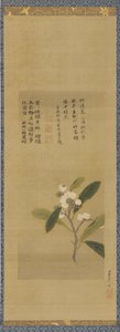 Une branche de nèfles, période Edo, 18ème siècle - Kanô Eisen