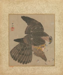 Album de faucons et calligraphie, XVIIe-XVIIIe siècle - Kanô Yôboku Tsunenobu