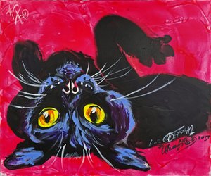 Le chat noir curieux