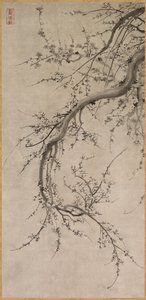 Prunus, XVIIe siècle - Kano Ein