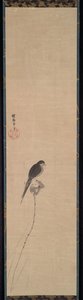 Oiseau sur un bourgeon de lotus, 1600s - Kanō Tan’yū