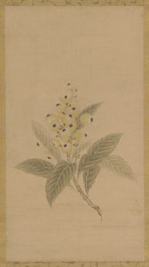 Une branche de nèfles, période Edo, 17e siècle