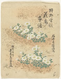Table des matières (Bloemen- en vogelschetsen van Kano Tsunenobu, Kano Tsunenobu kacho gafu) - Kano Tsunenobu