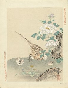 Caille avec poussins - Kano Tsunenobu