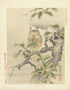 Hibou sur une branche - Kano Tsunenobu