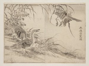 Oies vivant dans les roseaux (estampe sur bois en couleur) - Kanyosai Kanyosai