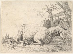 Un mouton couché avec ses pattes repliées sous son corps à côté d
