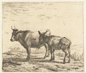 Bœuf et un âne