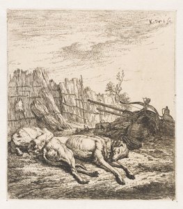 Chiens de chasse endormis (Animaux)