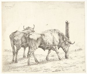 Les deux bœufs - Karel Du Jardin