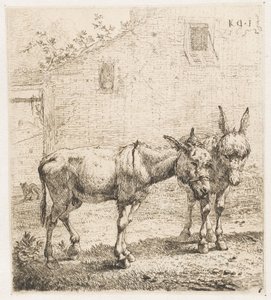 Deux ânes