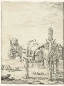 Deux mules