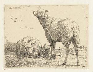 Deux moutons - Karel Du Jardin