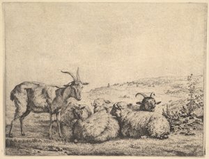 Deux chèvres et trois moutons, 1655 - Karel Du Jardin