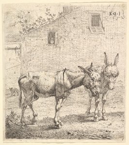 Deux ânes dans une cour herbeuse, l