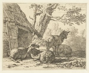 Quatre moutons - Karel Du Jardin