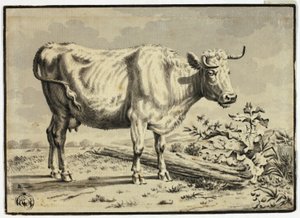 Vache - Karel Dujardin