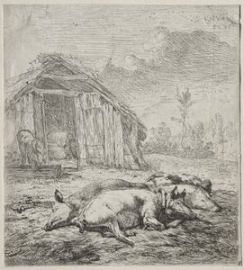 Trois porcs allongés devant une porcherie - Karel Dujardin