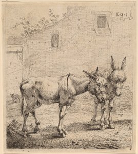Deux ânes