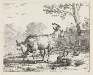  - Karel Dujardin