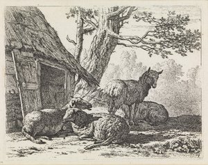  - Karel Dujardin