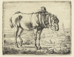 Cheval harnaché comme cheval de travail - Karel du Jardin (possibly)