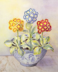 Auricule dans un pot chinois - Karen Armitage