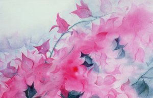 Bougainvillier - Karen Armitage
