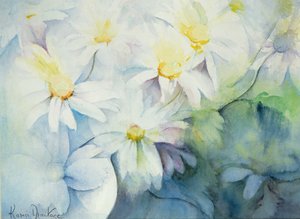 Marguerites, Shasta - Karen Armitage