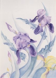 Iris, bleu Mare - Karen Armitage
