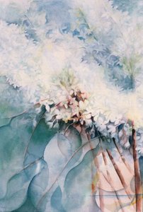 Lilas, Maud Norcut - Karen Armitage