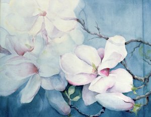 Magnolia Soulangeana (horizontal) - Karen Armitage