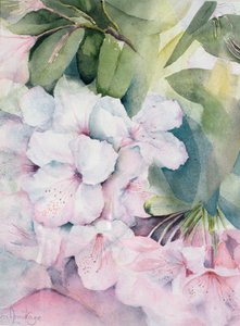 Magie du matin - Karen Armitage