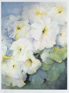 Petunia Snowball - Karen Armitage
