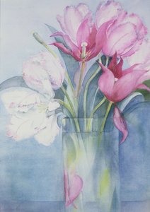 Tulipes perroquet roses et Marlette - Karen Armitage