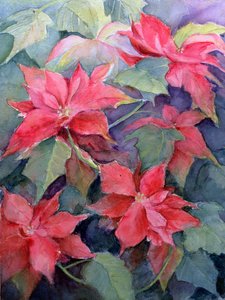 Poinsettia - Karen Armitage