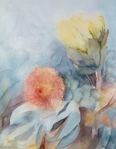 Protea d