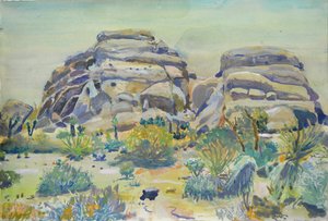Paysage de Joshua Tree