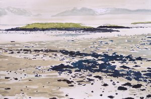 Une plage paisible au gré des marées