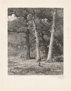 Une clairière en forêt - Karl Bodmer