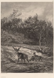 Au bord de l