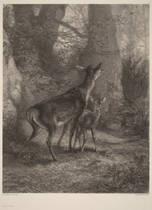  - Karl Bodmer