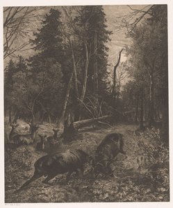 Paysage forestier avec deux cerfs combattants - Karl Bodmer
