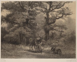  - Karl Bodmer