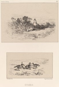 Études - Karl Bodmer