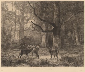 Forêt de Fontainebleau - Karl Bodmer