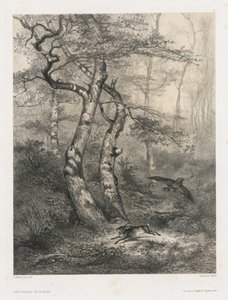 Lièvre poursuivi par un autour - Karl Bodmer